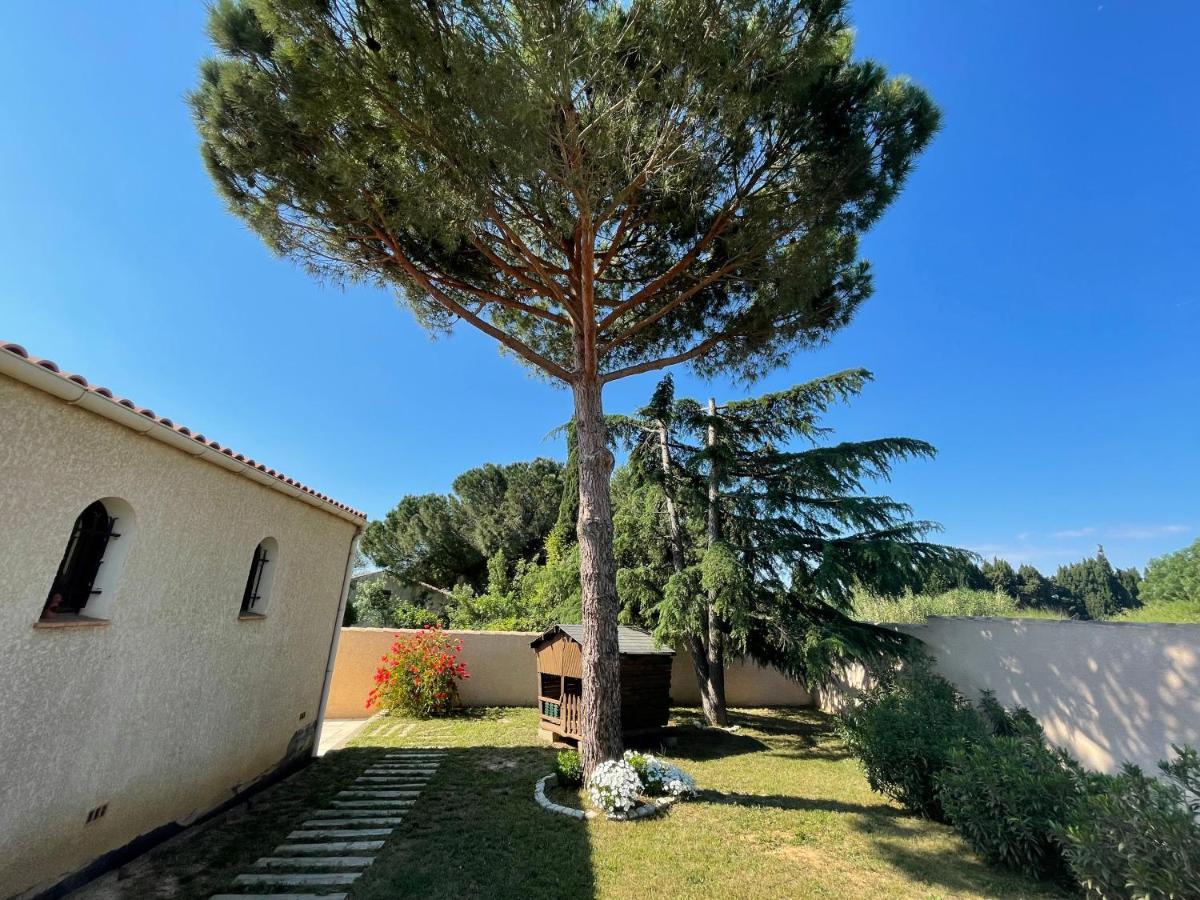 Annexe Des Pins - Studio Gite Avec Piscine & Climatisation Villeneuve-les-Beziers ภายนอก รูปภาพ